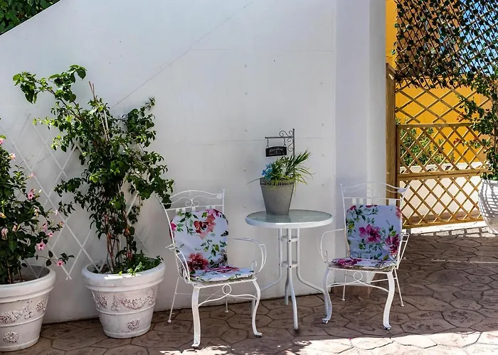 Evi's * أفانتو